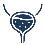 Bladder Stone Treatment