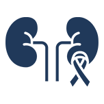 Kidney Cancer Treatment