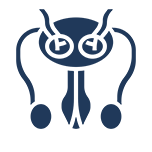 Urethral Stricture Treatment