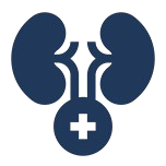 Urology Surgeries