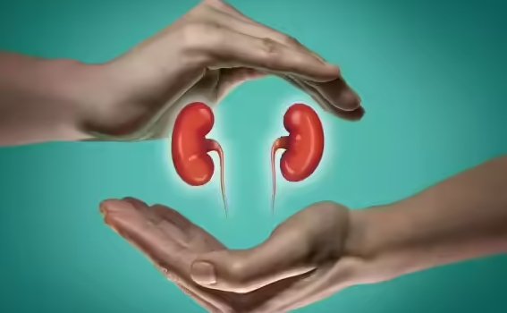 Life After Kidney Cancer Treatment