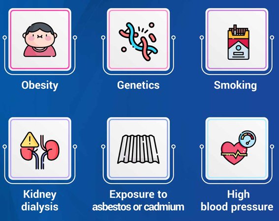 Causes and Risk Factors of Kidney Cancer