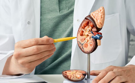 Kidney Removal Surgery