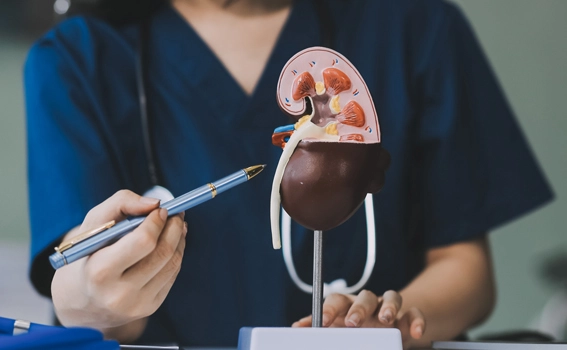 Choosing the Right Kidney Stone Treatment