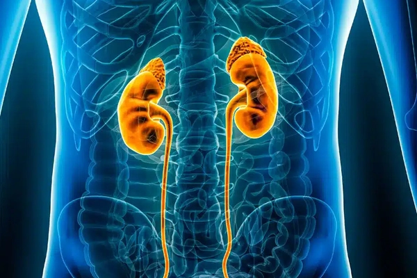 Benefits of Partial Nephrectomy