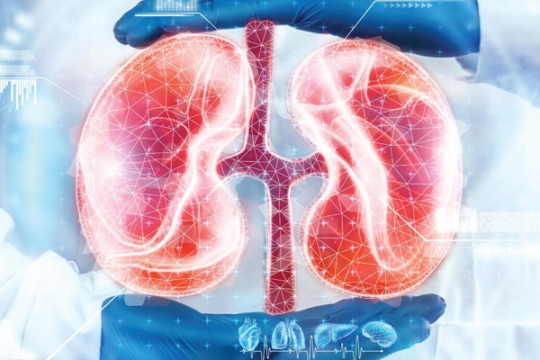 Kidney Function Preservation After Partial Nephrectomy