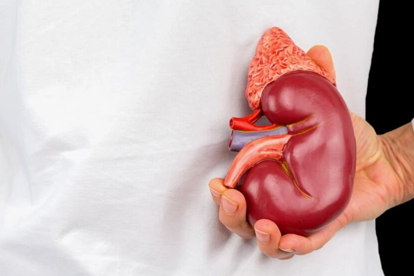 Recovery After Partial Nephrectomy Surgery